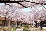 荒子川公園