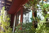 La pagnotta
