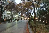 大阪市役所横の通り
