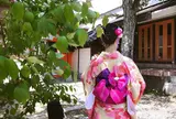 着物レンタル 富士 清水寺店 | 京都 浴衣レンタル | 人気 安い 当日 予約なし