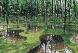 アート・ビオトープ那須