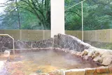 青井岳温泉