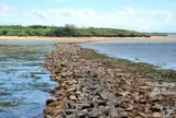 魚垣