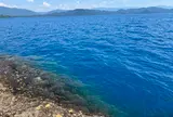 田沢湖