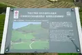 石寺の茶畑の写真_73861