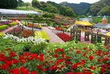 島田市ばらの丘公園
