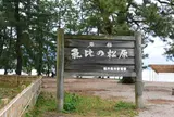 気比の松原