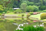 新宿御苑 日本庭園