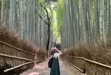 嵯峨野 竹林の道