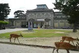 奈良国立博物館