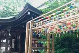 氷川神社(川越氷川神社)