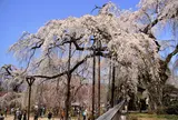 清雲寺