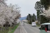 清川 千本桜