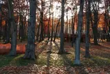 川沿公園