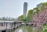 上野恩賜公園（上野公園）