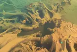 魚津埋没林博物館
