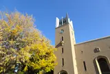 早稲田大学