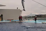 四国水族館