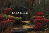 もみのき森林公園