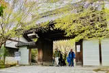 大雲山 龍安寺（世界遺産）