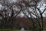 石崎地主海神社