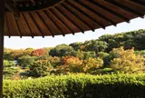 大仙公園・日本庭園