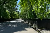 角館武家屋敷通り