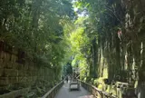 猿島