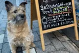 (有)ペットショップつるや