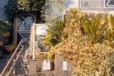 サイガバレエ研究所
