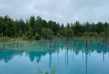 青い池