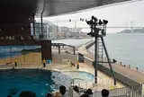 下関市立しものせき水族館・海響館