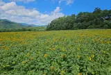 ひまわりGarden