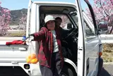 今治市