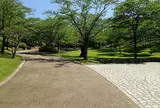 【オプション2】八幡山公園