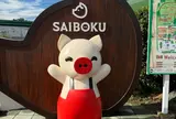 レストラン サイボク