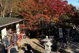 AFURI 阿夫利神社