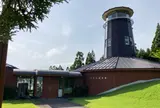 杉沢の沢スギ