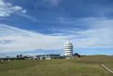 潮岬望楼の芝