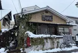 仙人掌