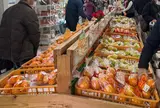 古賀市コスモス館