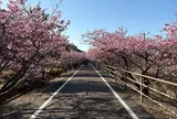 白砂公園