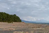 三保の松原
