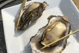 宮島の宿 さくらや