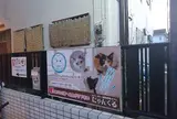 猫カフェ にゃんくる 鎌倉店