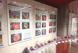 都立大島公園椿資料館