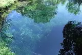 涌池
