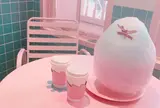 스타일난다 핑크풀카페(stylenanda pink pool cafe)