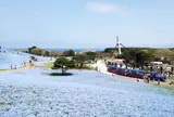 国営ひたち海浜公園