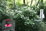 高幡不動尊
